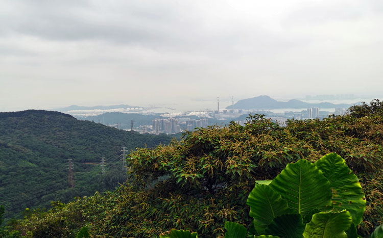 激揚(yáng)青春、奮勇攀登登山活動(dòng)